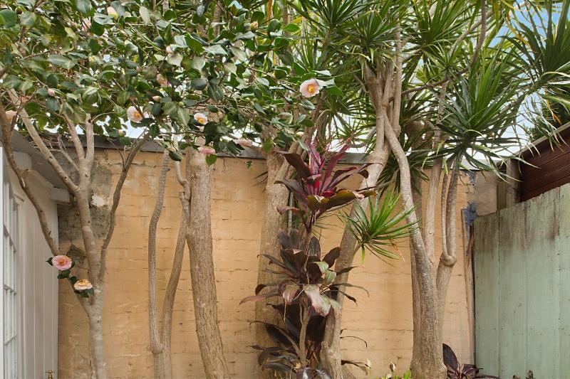 Paddington Garden Cottage With Fast Wifi Sydney Bagian luar foto